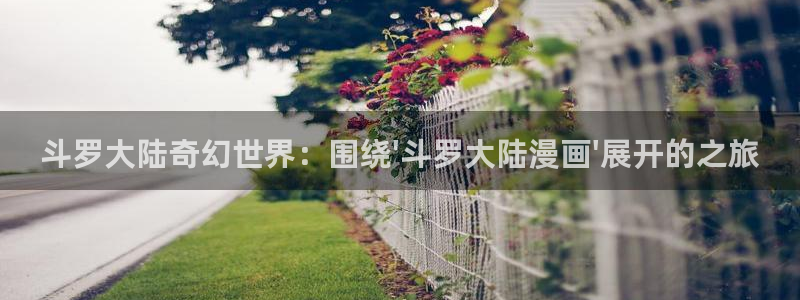 虫虫漫画羞羞漫画：斗罗大陆奇幻世界：围绕\'斗罗大陆漫画\'展开的之旅