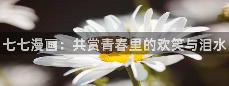 羞羞漫画免费看网站：七七漫画：共赏青春里的欢笑与泪水
