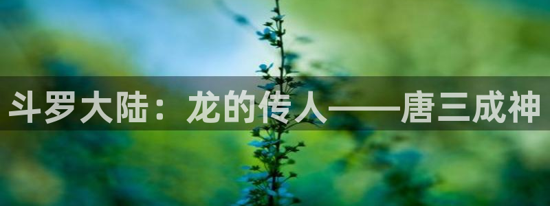 在线下载羞羞漫画：斗罗大陆：龙的传人——唐三成神