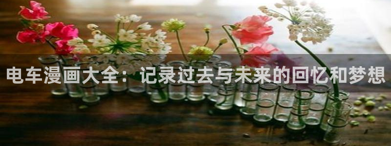 91羞羞漫画：电车漫画大全：记录过去与未来的回忆和梦想