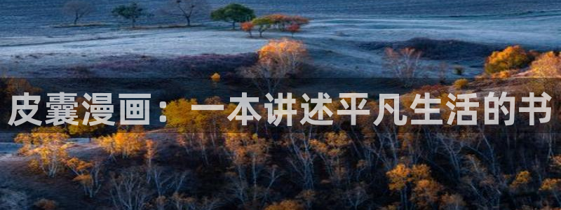 羞羞漫画在线免费播放：皮囊漫画：一本讲述平凡生活的书