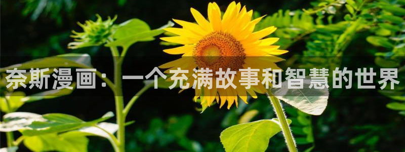 羞羞漫画网页入口：奈斯漫画：一个充满故事和智慧的世界