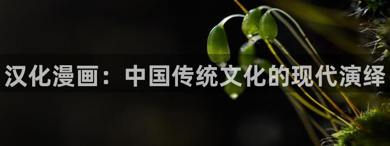 动漫人物羞羞漫画：汉化漫画：中国传统文化的现代演绎