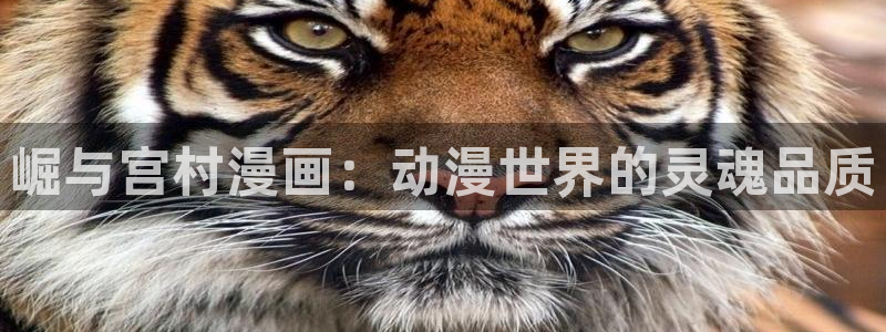羞羞漫画免费页面：崛与宫村漫画：动漫世界的灵魂品质