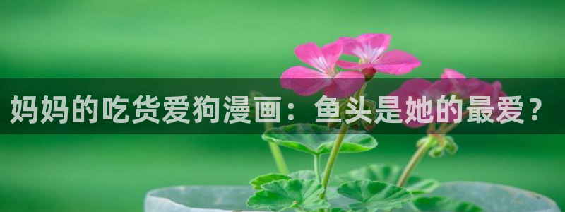 羞羞漫画免费入口网页：妈妈的吃货爱狗漫画：鱼头是她的最爱？