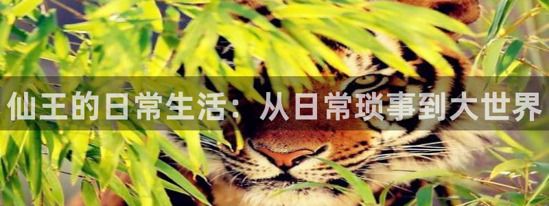韩漫羞羞漫画无删减