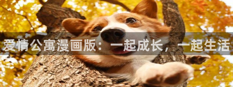羞羞漫画是是是