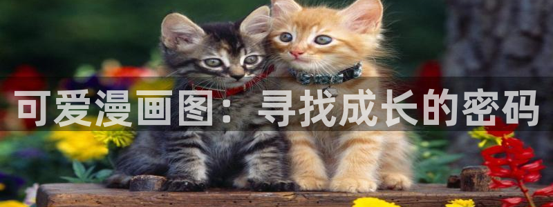 羞羞漫画无删减入口