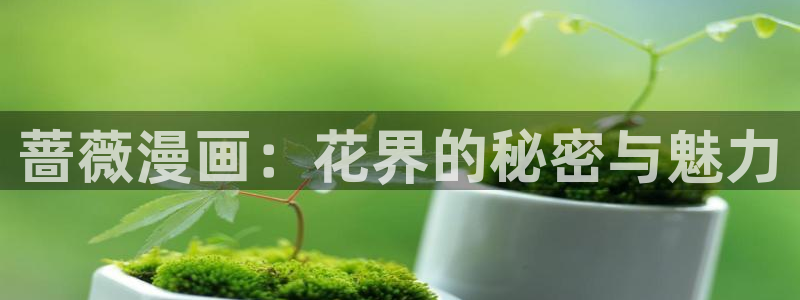 韩国羞羞漫画免费：蔷薇漫画：花界的秘密与魅力