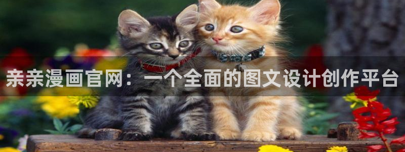 动漫美女羞羞漫画：亲亲漫画官网：一个全面的图文设计创作平台