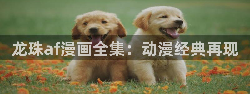 羞羞漫画动漫全集免费阅读：龙珠af漫画全集：动漫经典再现