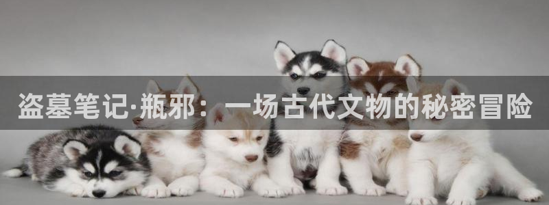 羞羞漫画在线阅读无限金币：盗墓笔记·瓶邪：一场古代文物的秘密冒险